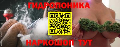 СК Донецк