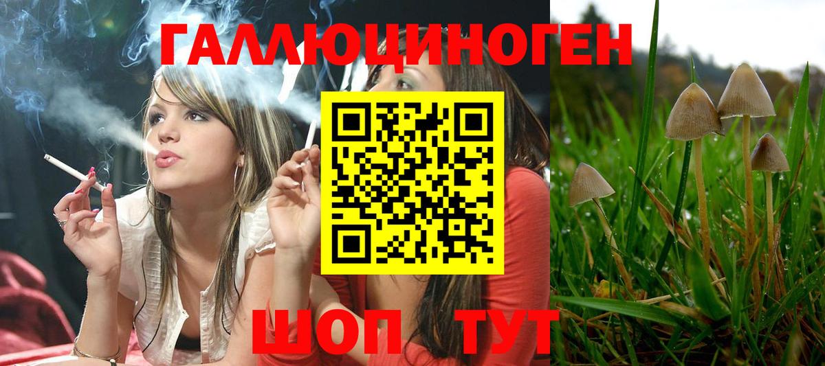 Галлюциногенные грибы Psilocybe Мирный