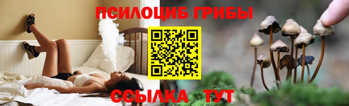 Галлюциногенные грибы Cubensis  Псилоцибиновые грибы мицелий  Мирный  Вход с VPN 